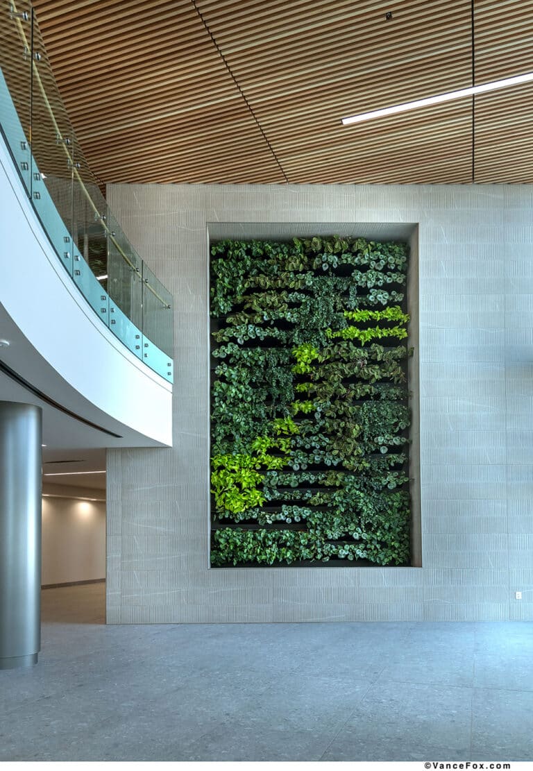 New Deantronics Spanish Springs photo by Vance Fox